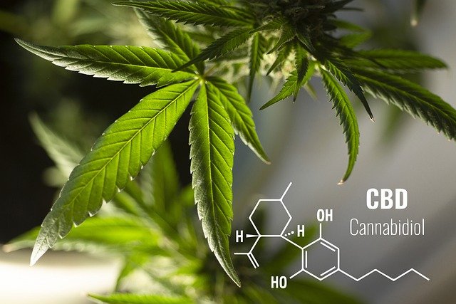 fleurs de CBD